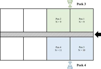 Comparative study between scan sampling behavioral observations and an automatic monitoring image system on a commercial fattening pig farm